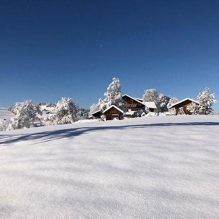 Ferienwohnung Aigisblick Mit Pool Und Sauna, Direkt Am Skihang Missen-Wilhams Dış mekan fotoğraf