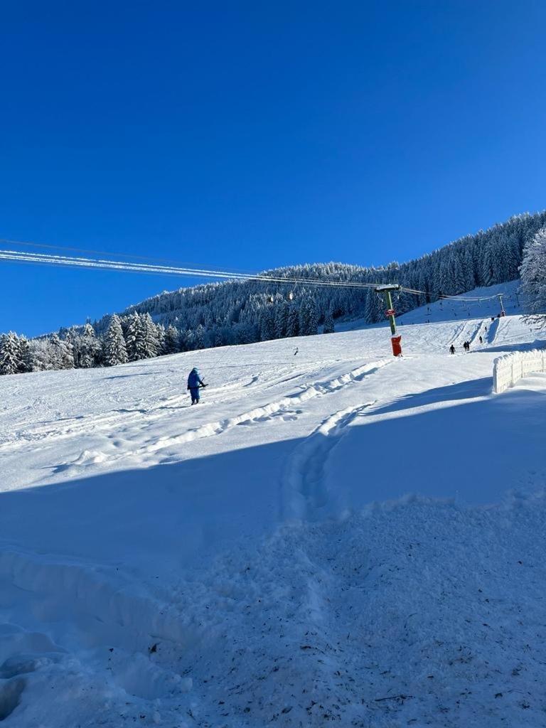 Ferienwohnung Aigisblick Mit Pool Und Sauna, Direkt Am Skihang Missen-Wilhams Dış mekan fotoğraf