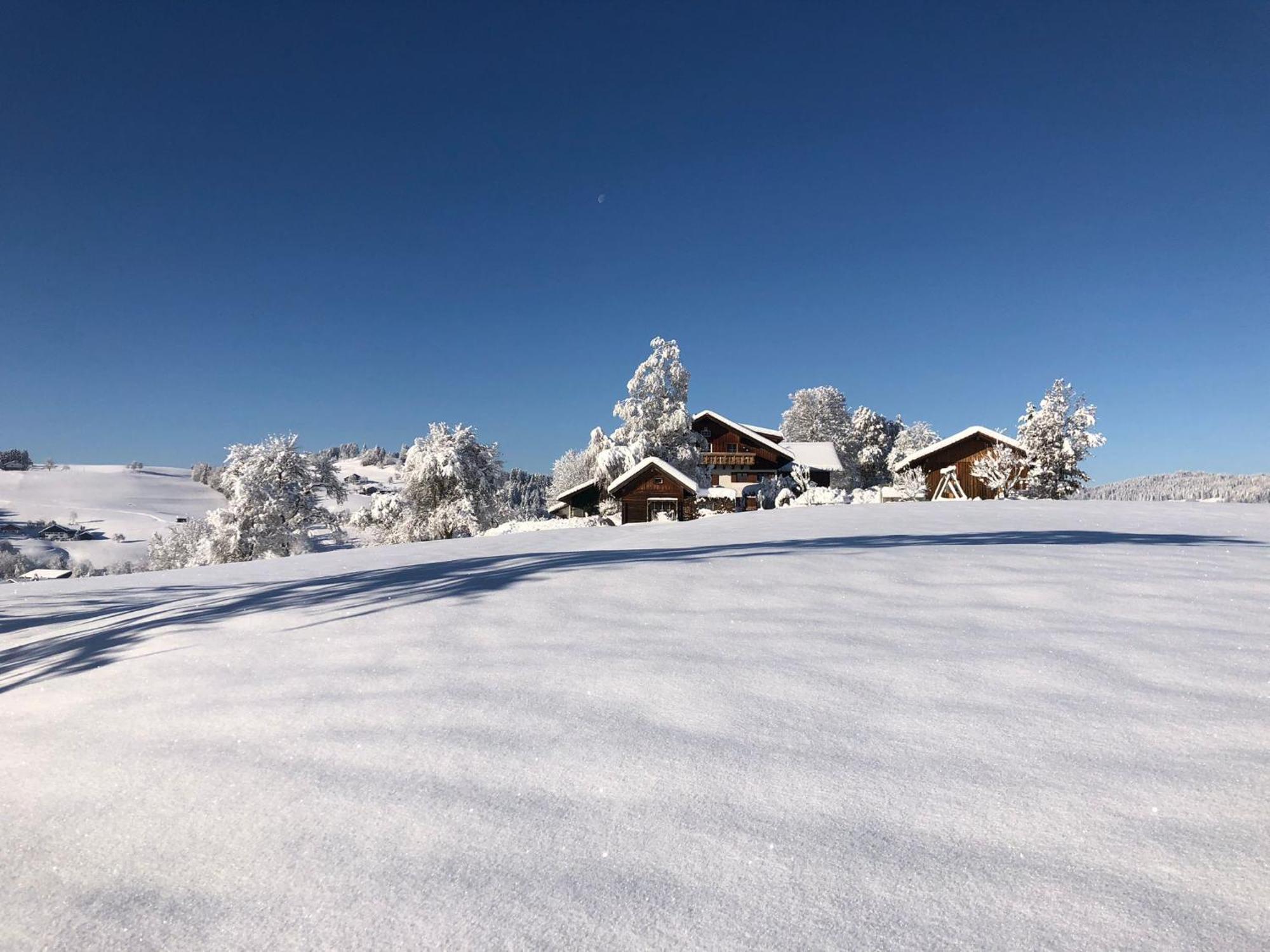 Ferienwohnung Aigisblick Mit Pool Und Sauna, Direkt Am Skihang Missen-Wilhams Dış mekan fotoğraf